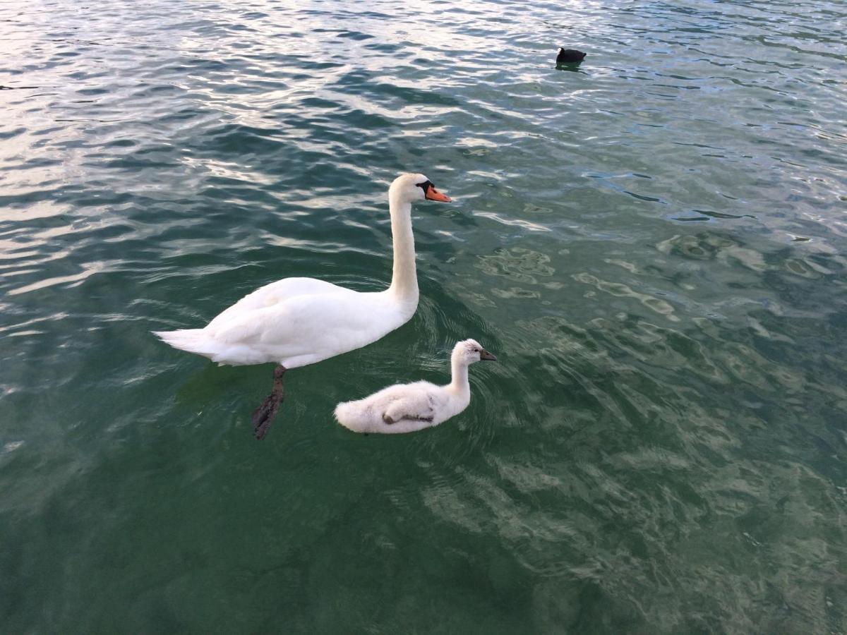 Lac Annecy Plage Privee, Duplex Baie Des Voiles Duingt Exterior photo